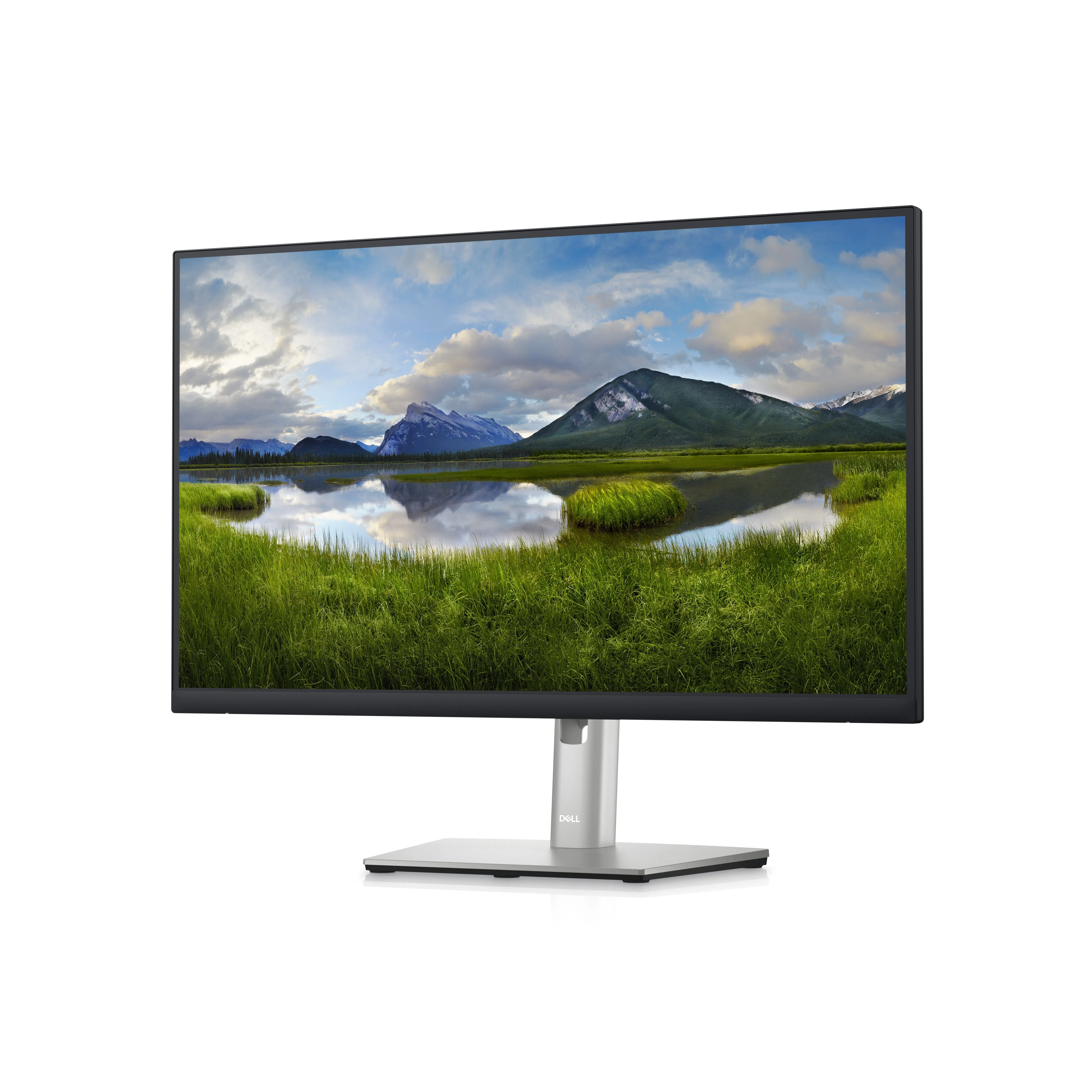 Dell P2423de 23.8In Usb-C Hub Monitor