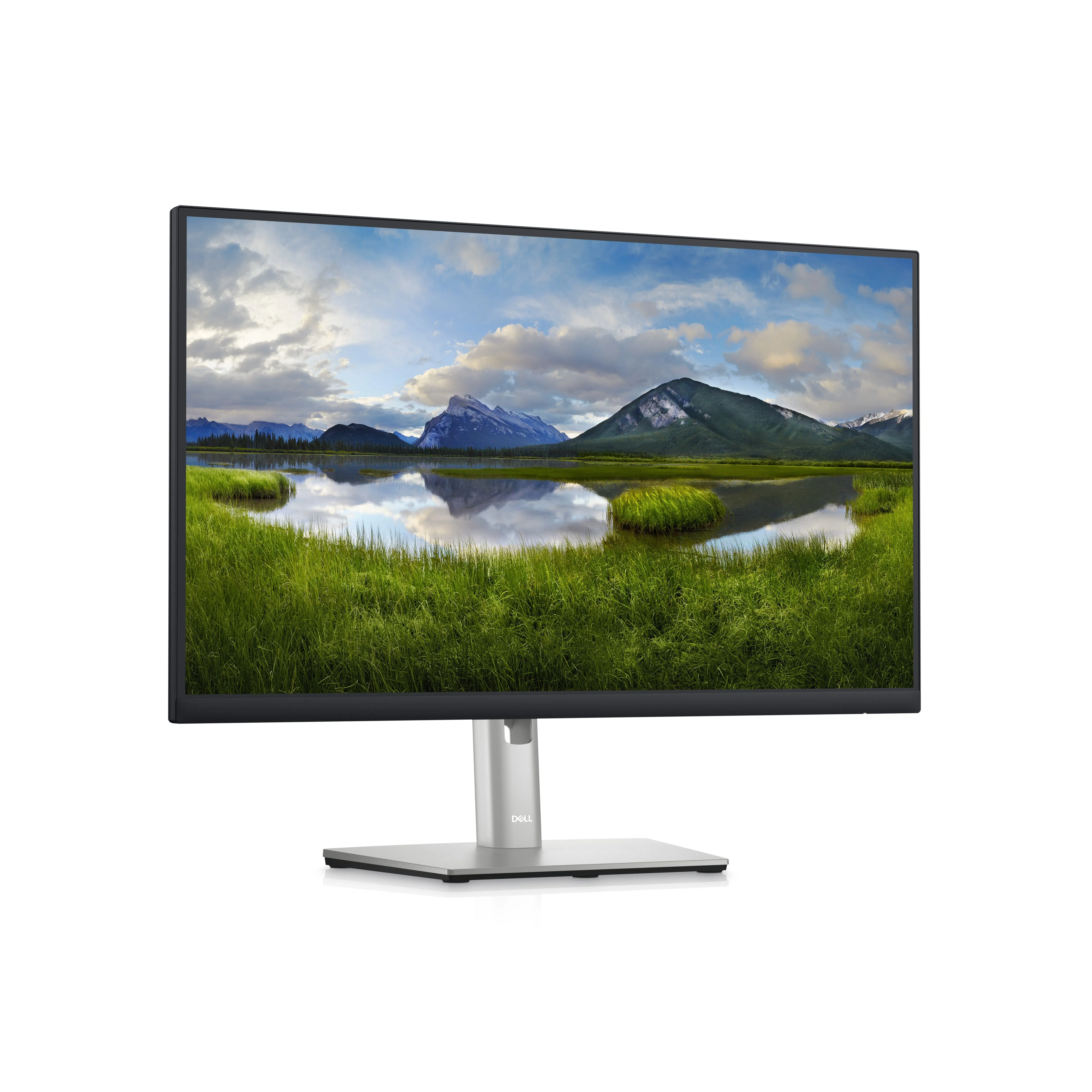 Dell P2423de 23.8In Usb-C Hub Monitor