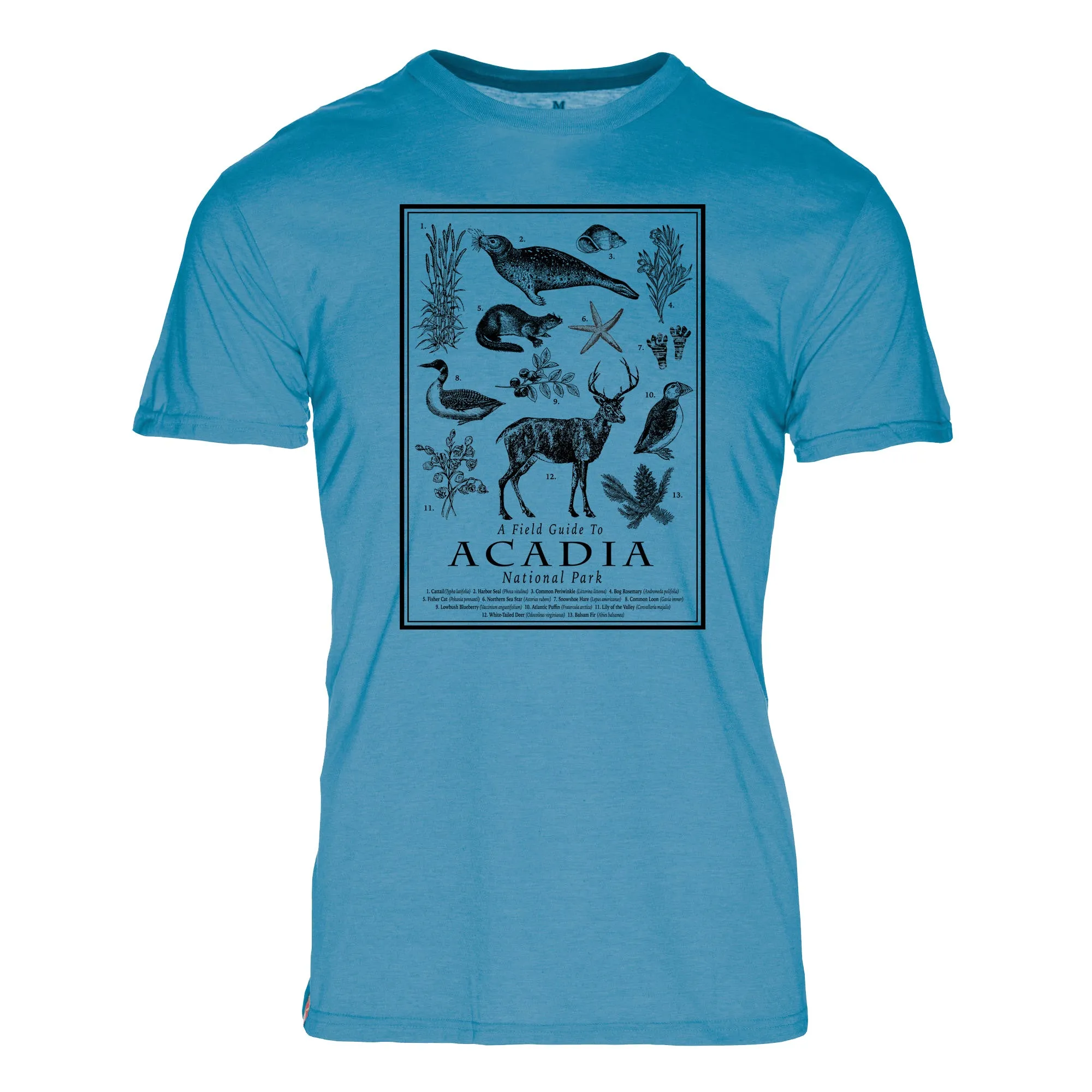 Field Guide Acadia National Park REPREVE® Crew T-Shirt