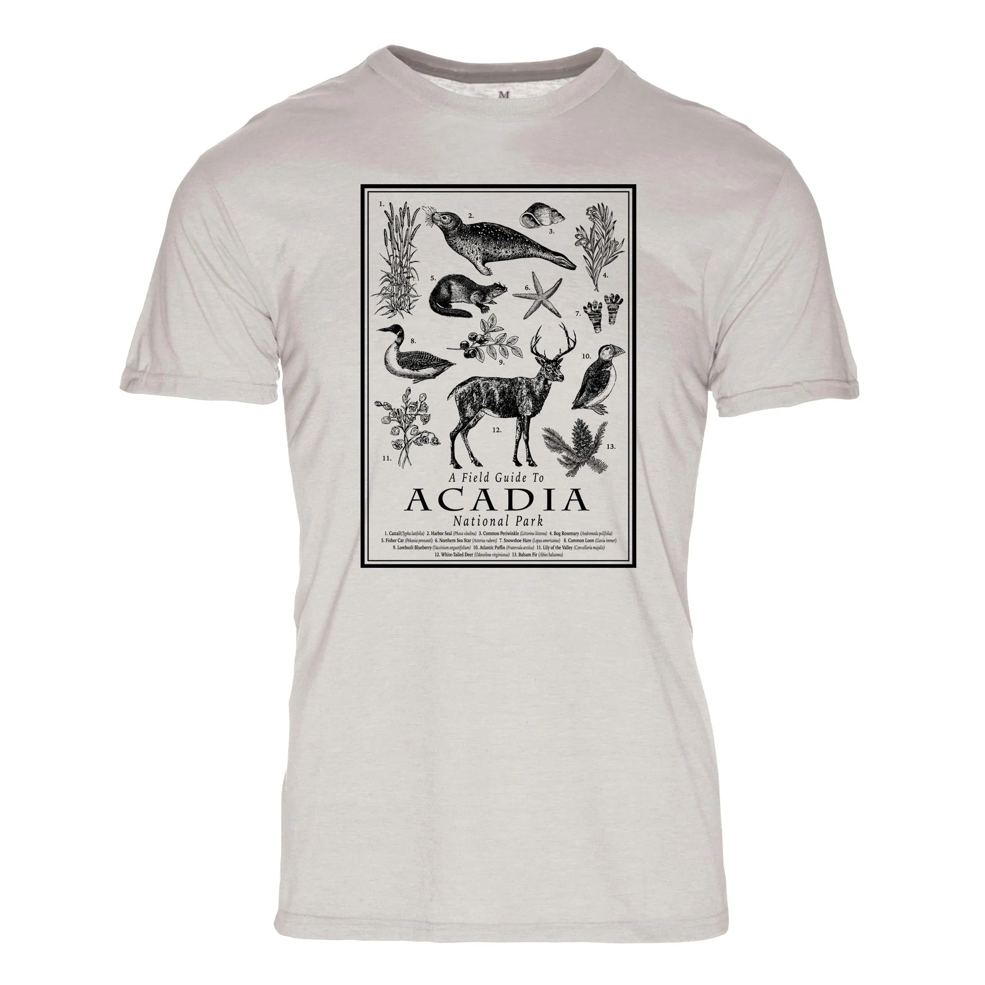 Field Guide Acadia National Park REPREVE® Crew T-Shirt