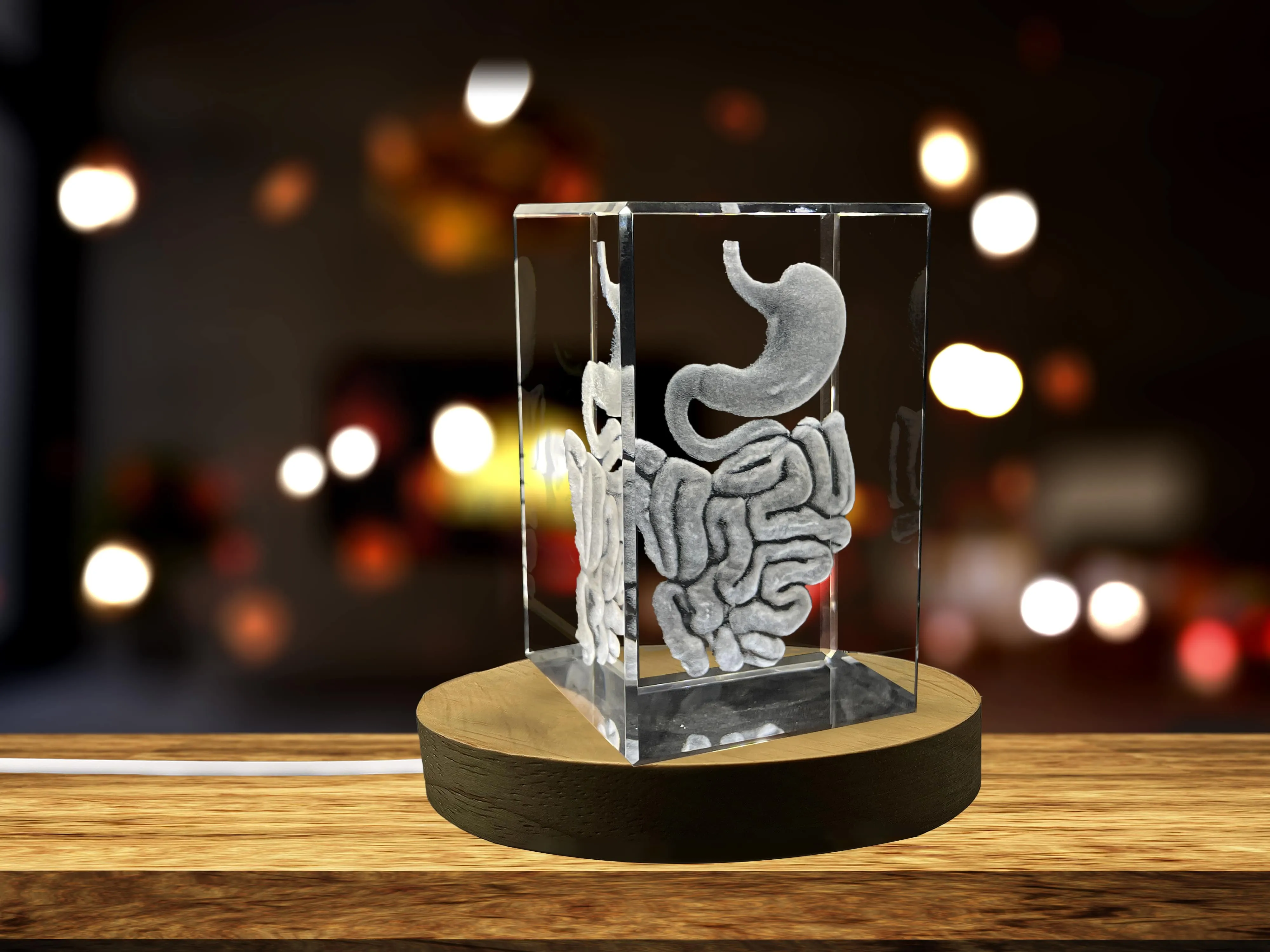 Intestine 3D Engraved Crystal Keepsake | Gift For Gastroenterologist | Doctor Gift