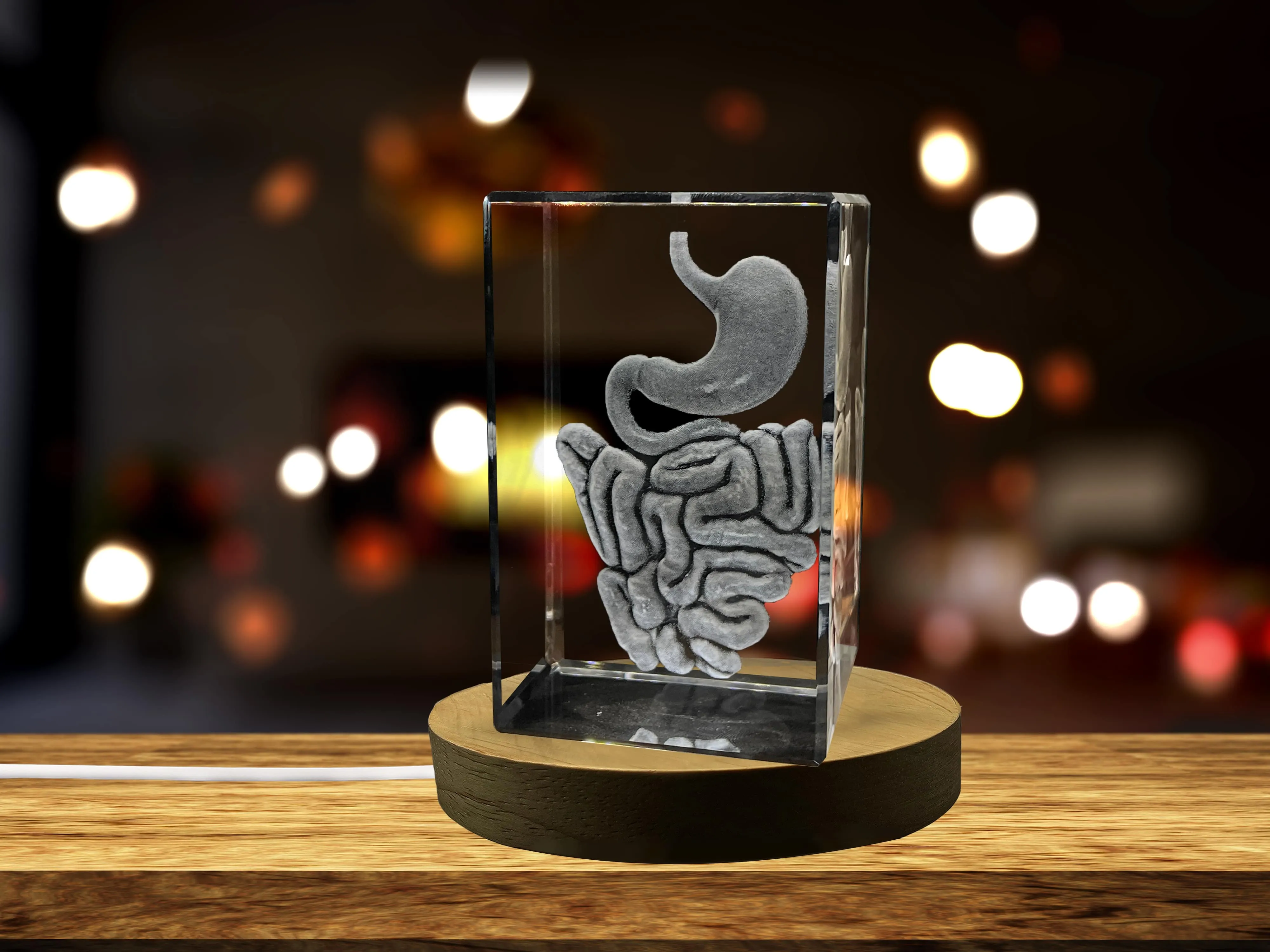 Intestine 3D Engraved Crystal Keepsake | Gift For Gastroenterologist | Doctor Gift