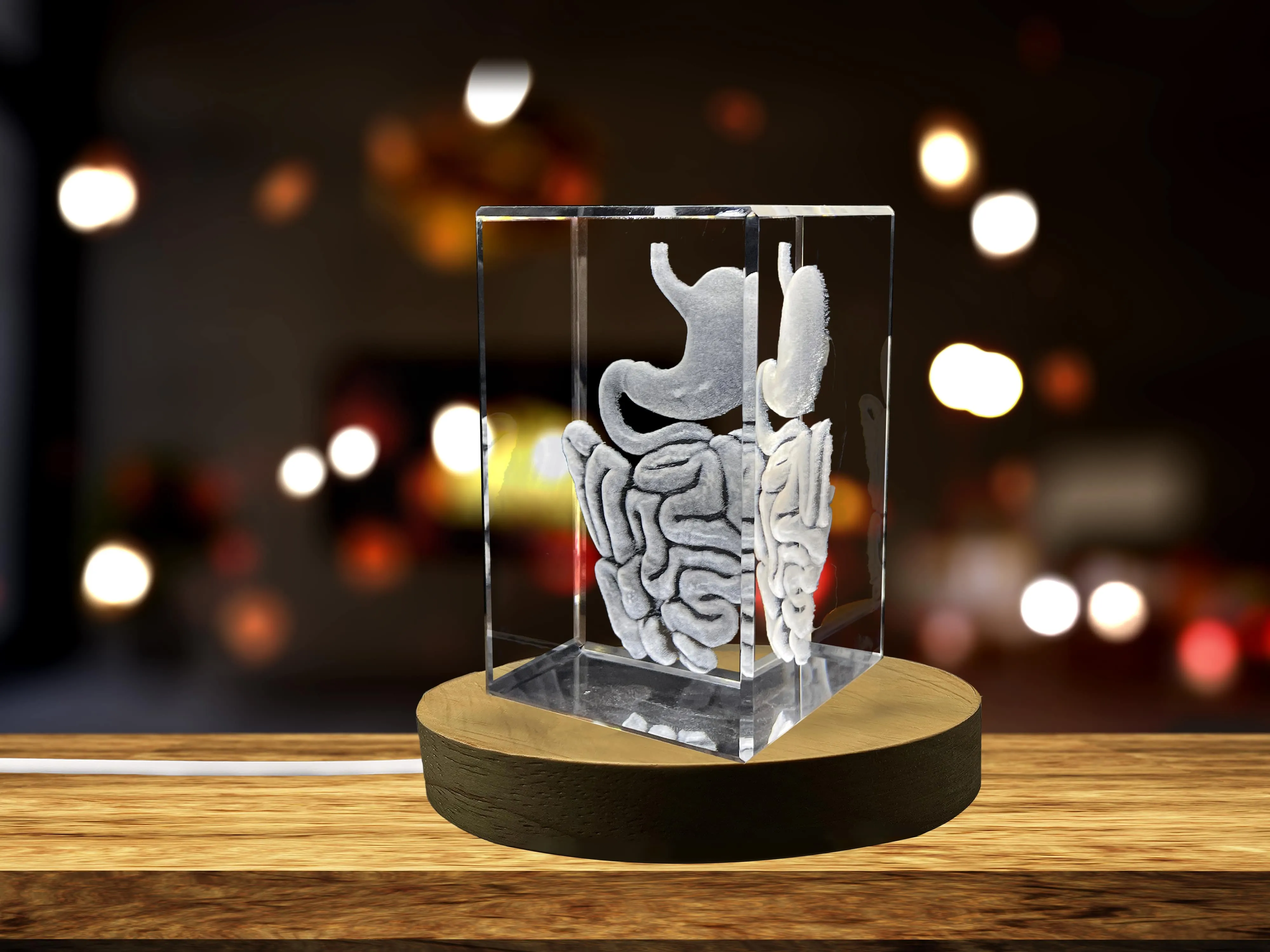 Intestine 3D Engraved Crystal Keepsake | Gift For Gastroenterologist | Doctor Gift