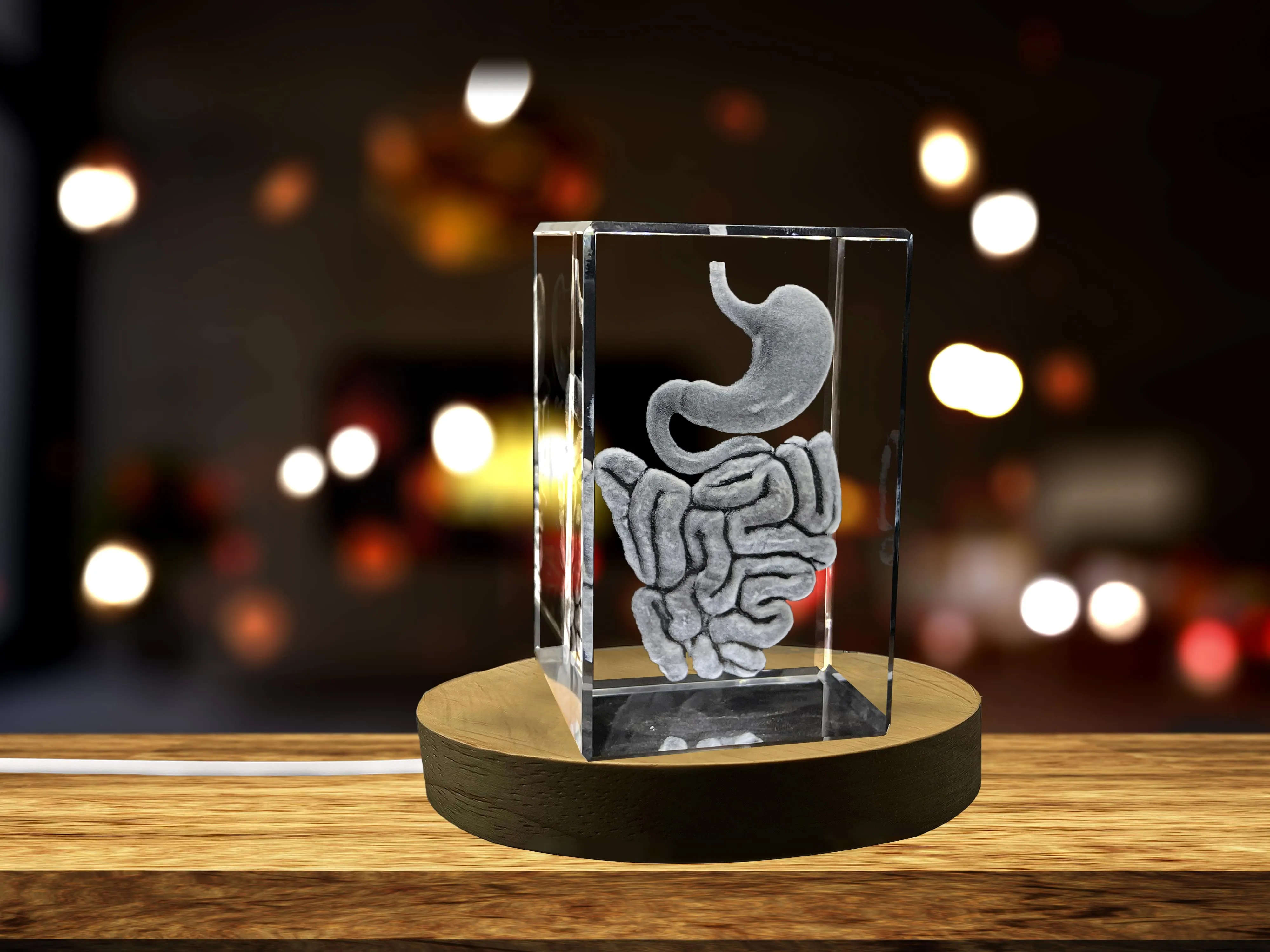 Intestine 3D Engraved Crystal Keepsake | Gift For Gastroenterologist | Doctor Gift