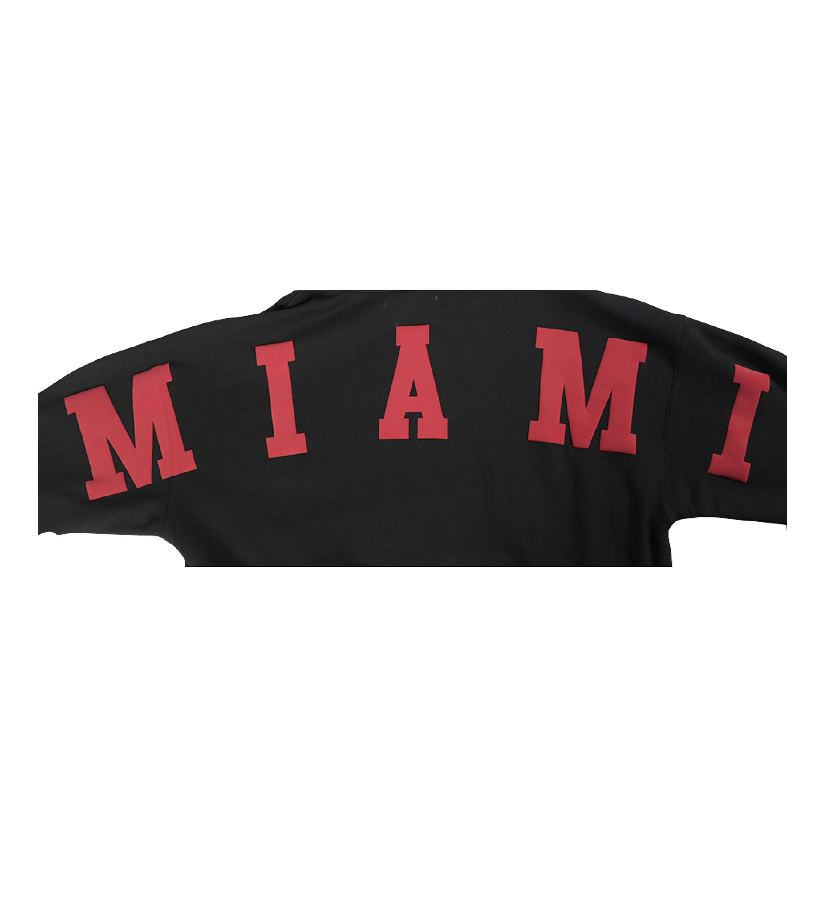 Pro Standard Miami HEAT Wingspan Hoodie