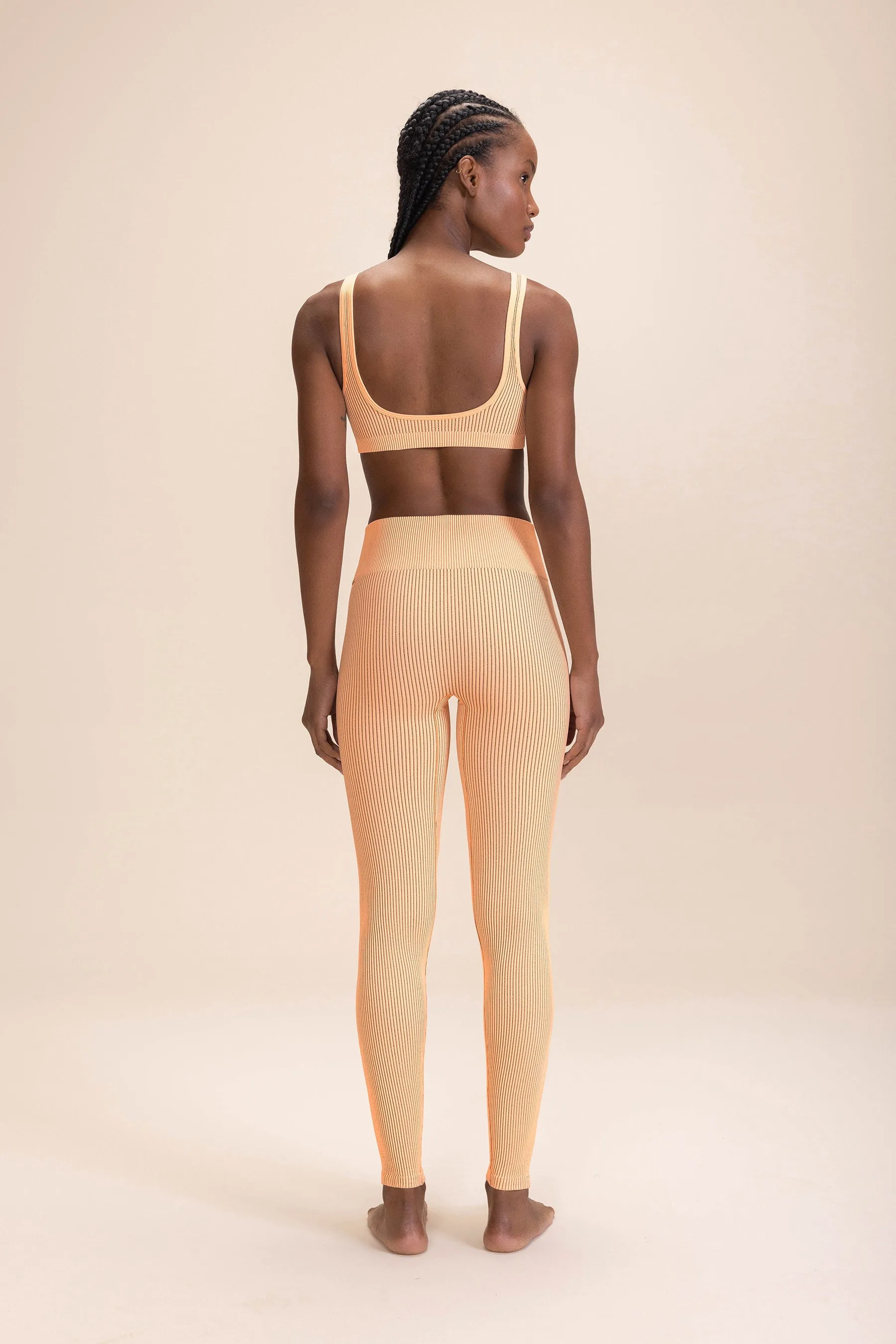 Seamless Rib Leggings