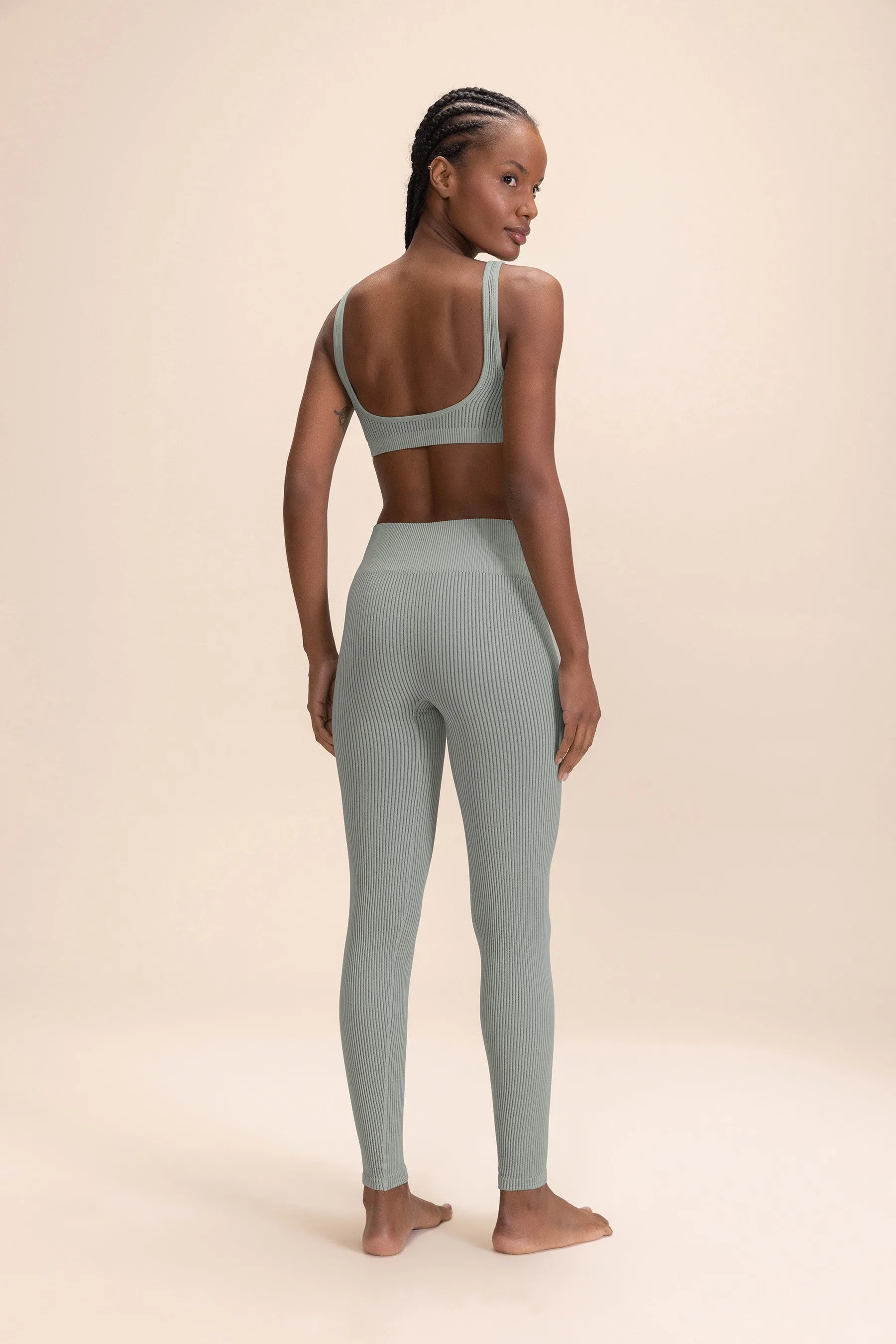 Seamless Rib Leggings