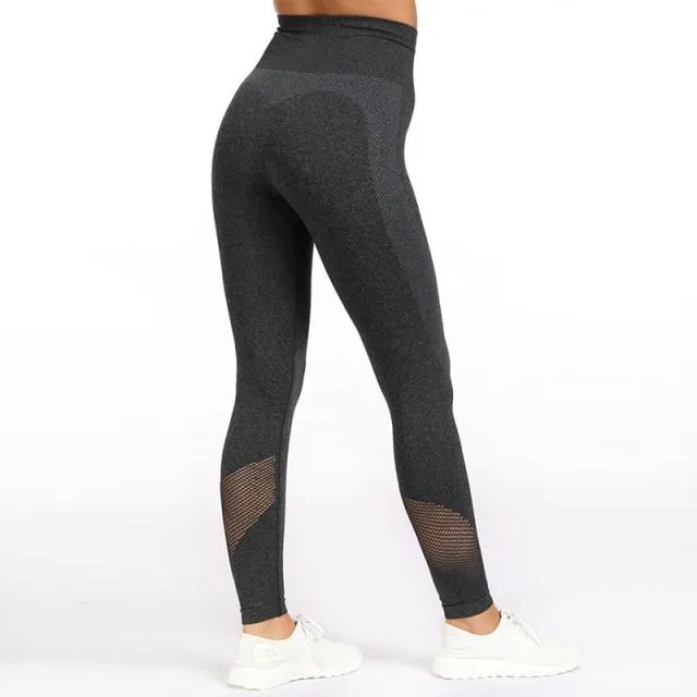 Solid Mesh Push Up Fitness Legging