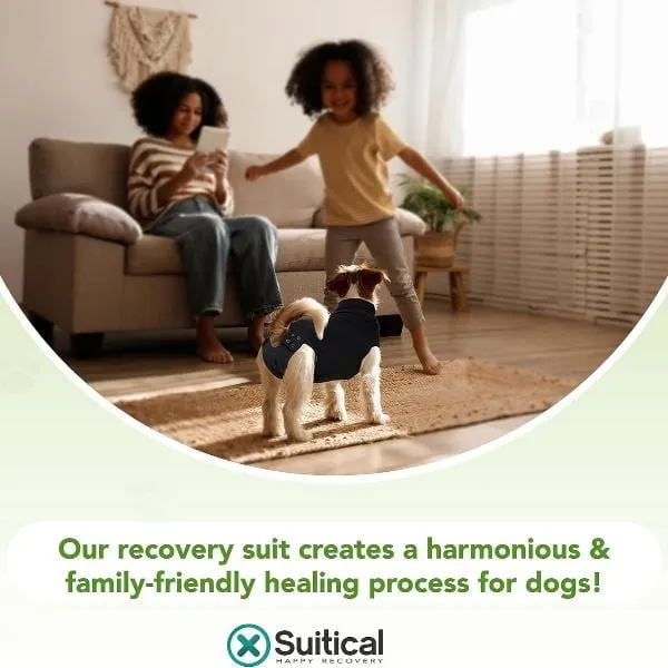 Suitical Recovery Suit for Dogs