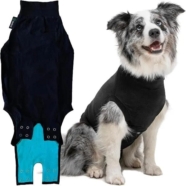 Suitical Recovery Suit for Dogs