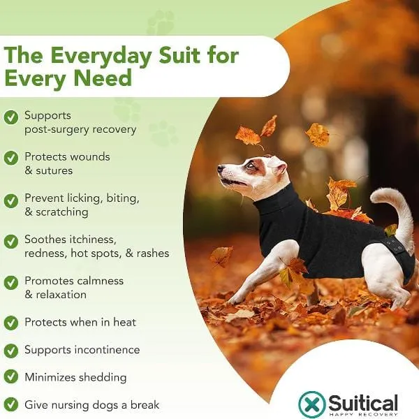 Suitical Recovery Suit for Dogs